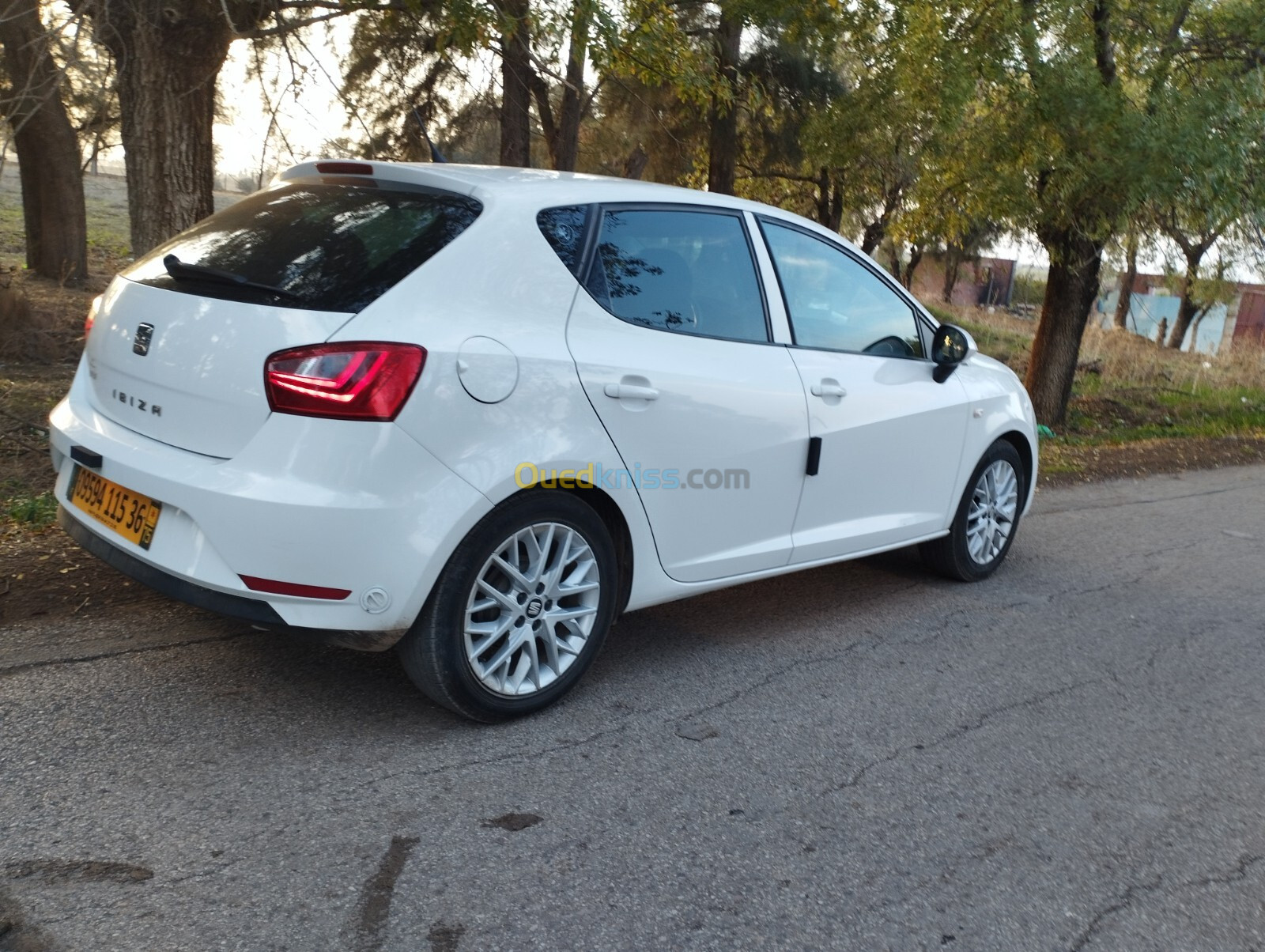 Seat Ibiza 2015 Fully