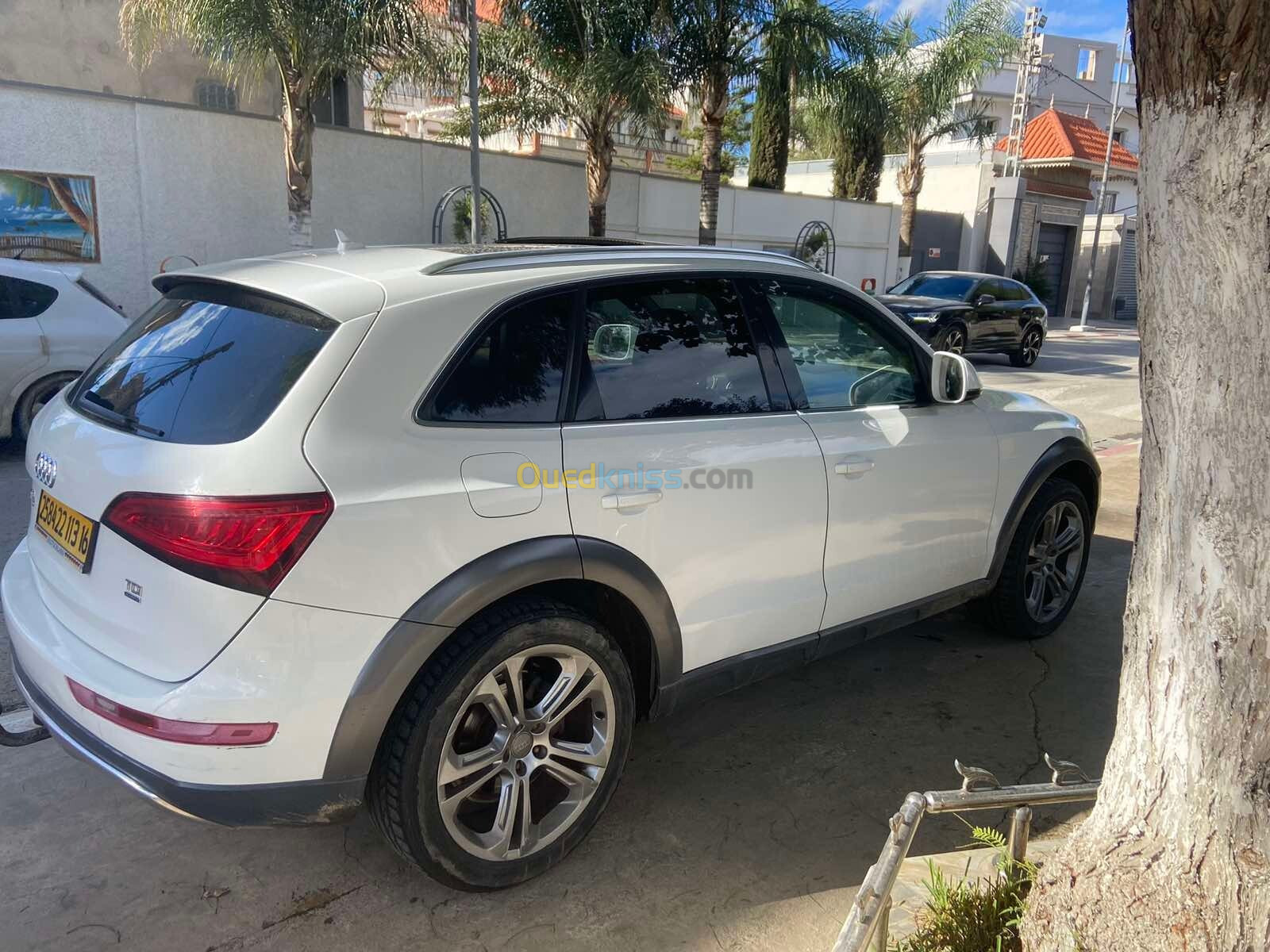 Audi Q5 2013 Offroad