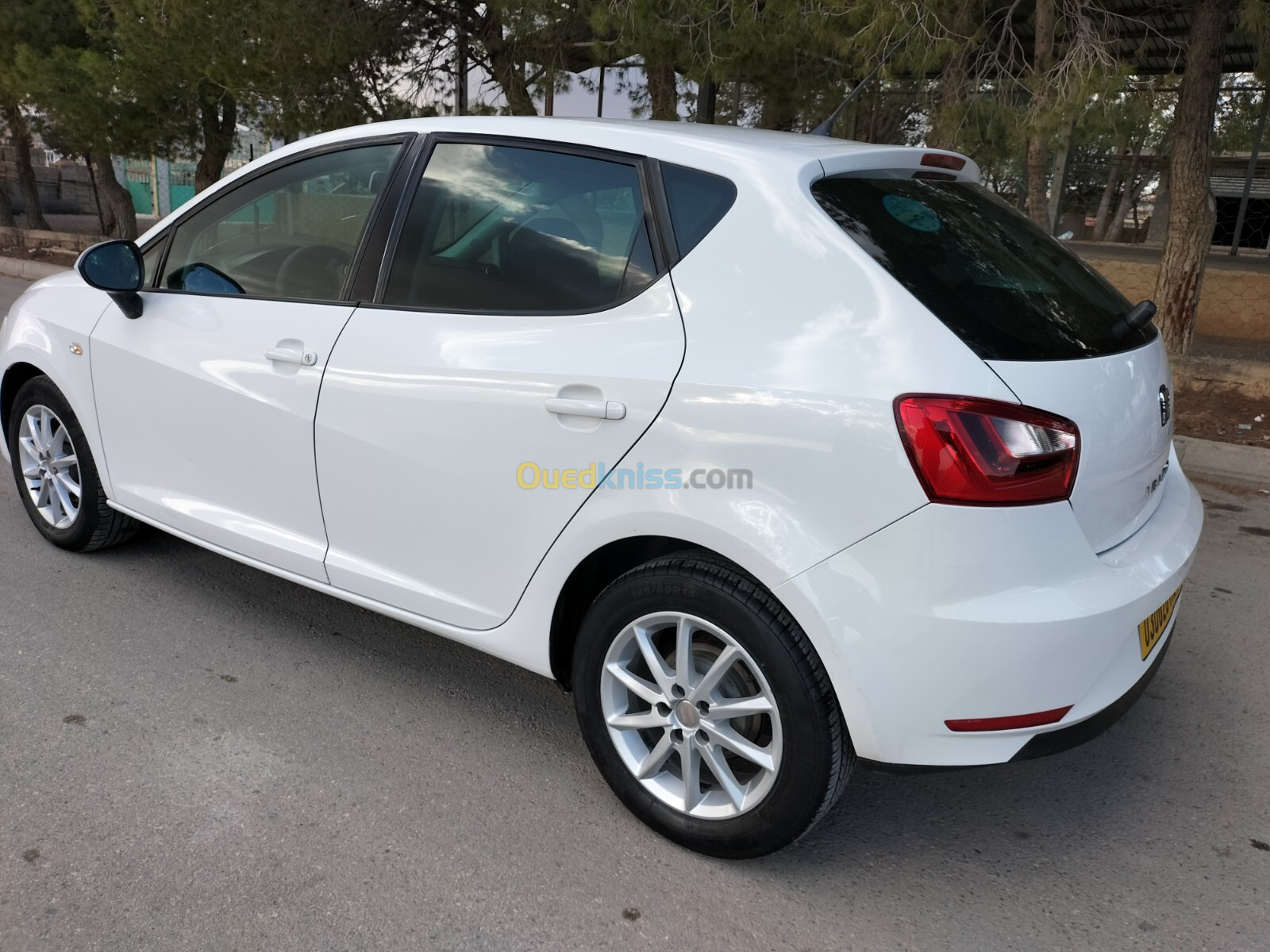 Seat Ibiza 2012 Fully