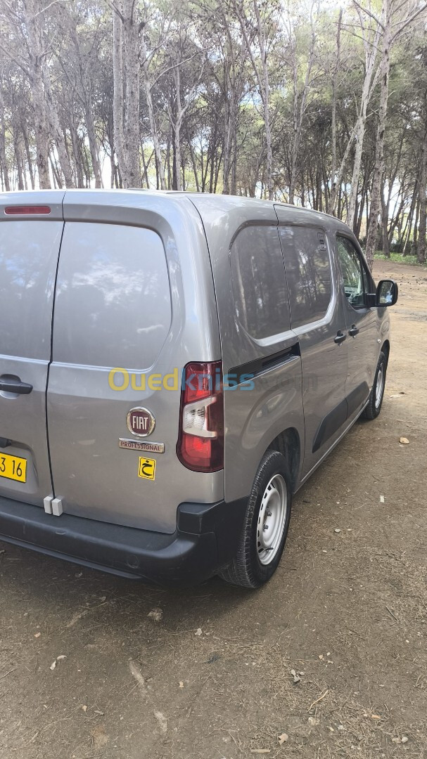 Fiat Doblo 2023 Professionnels