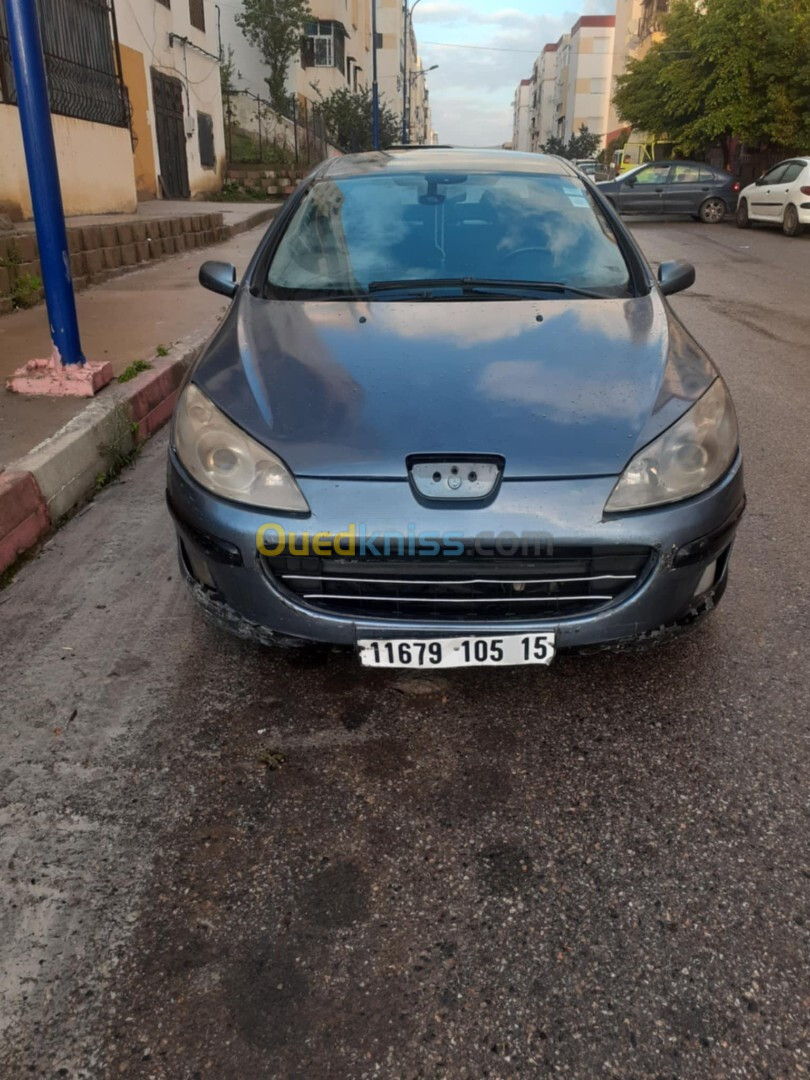 Peugeot 407 2005 407