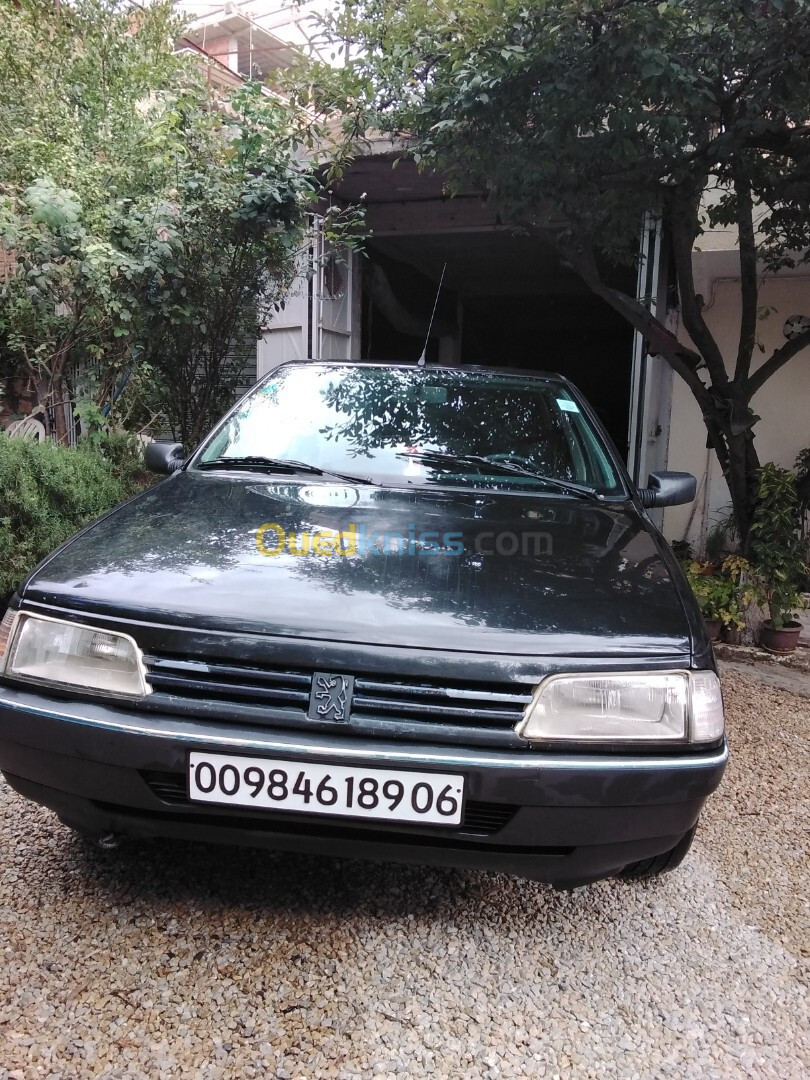 Peugeot 405 1989 405