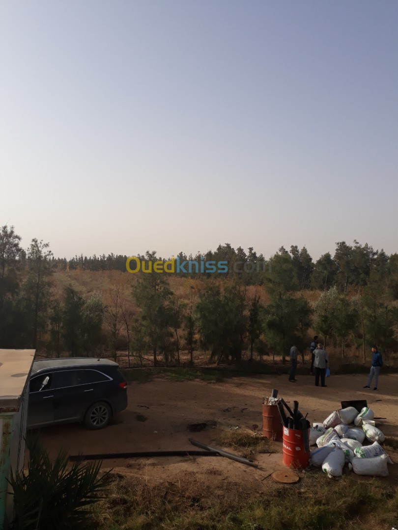 Vente Terrain Agricole Djelfa Ain oussara