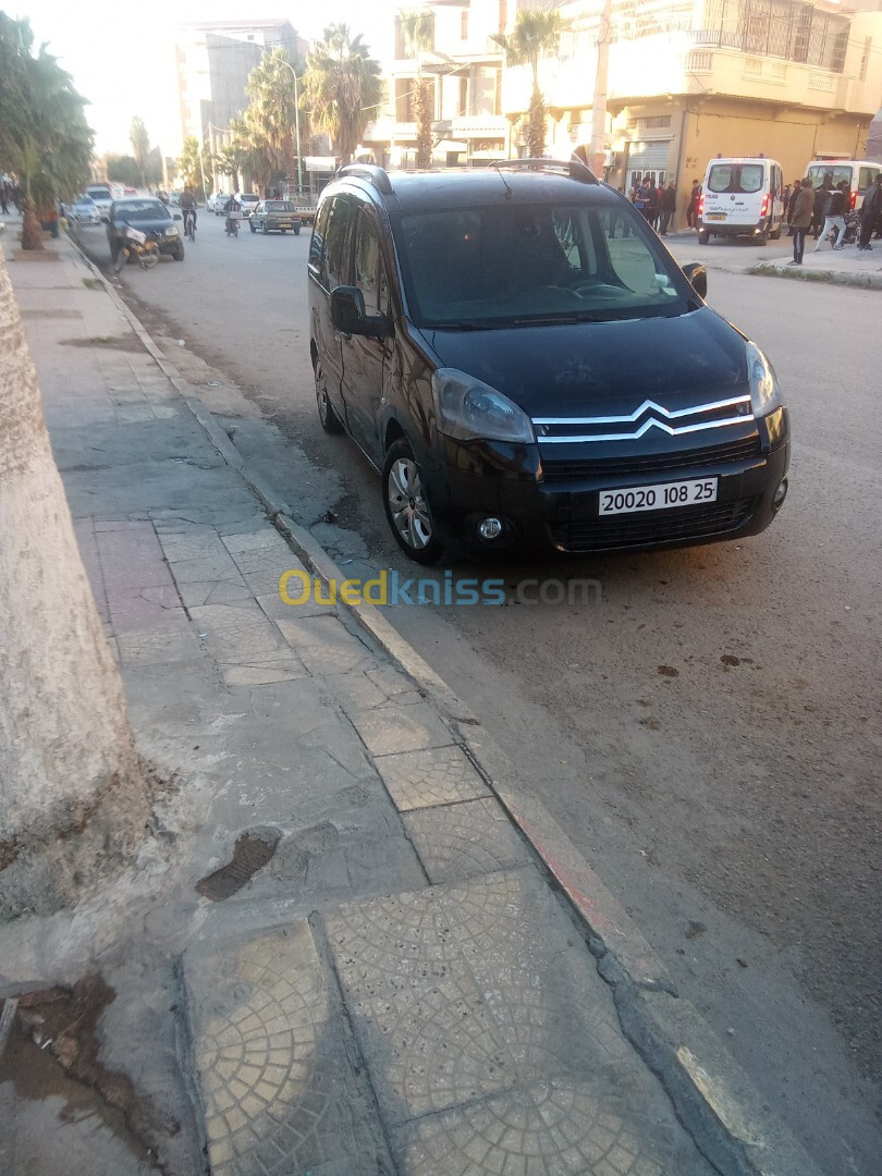 Citroen Berlingo 2008 Berlingo