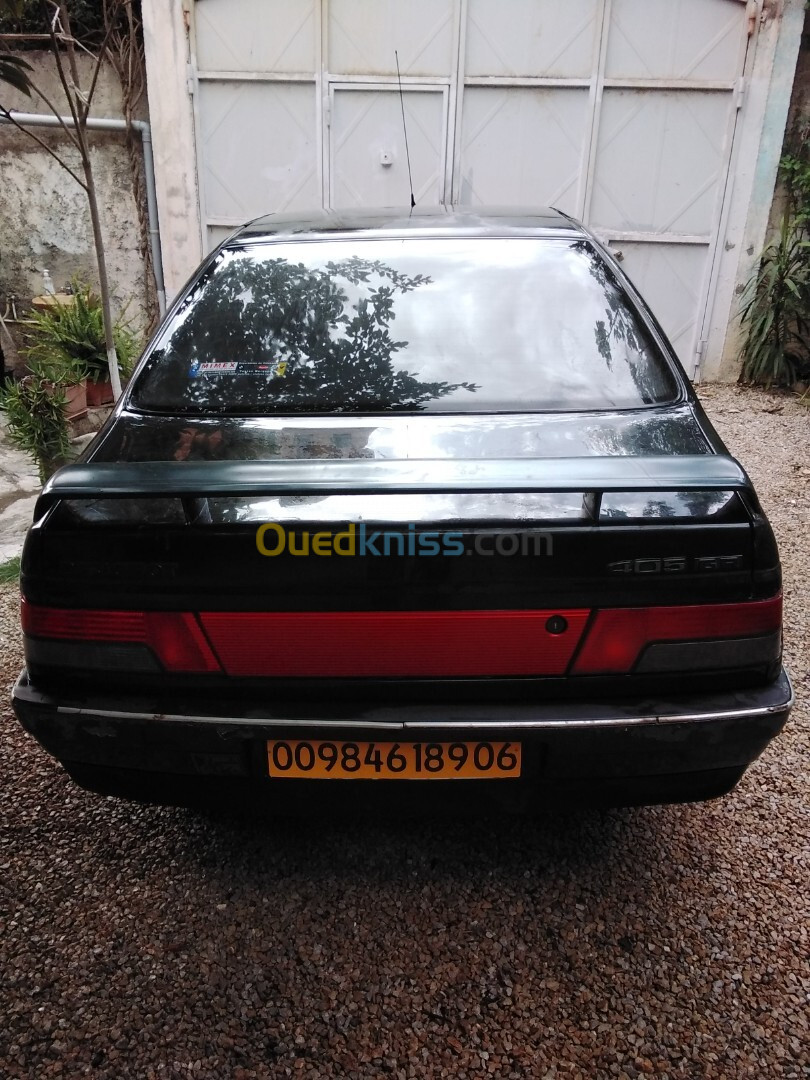 Peugeot 405 1989 405