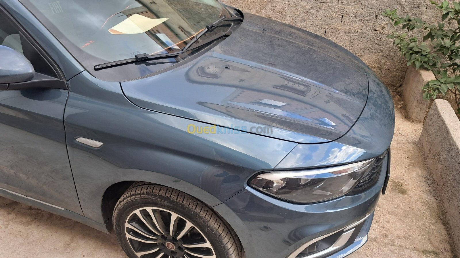 Fiat Tipo Sedan 2024 Life