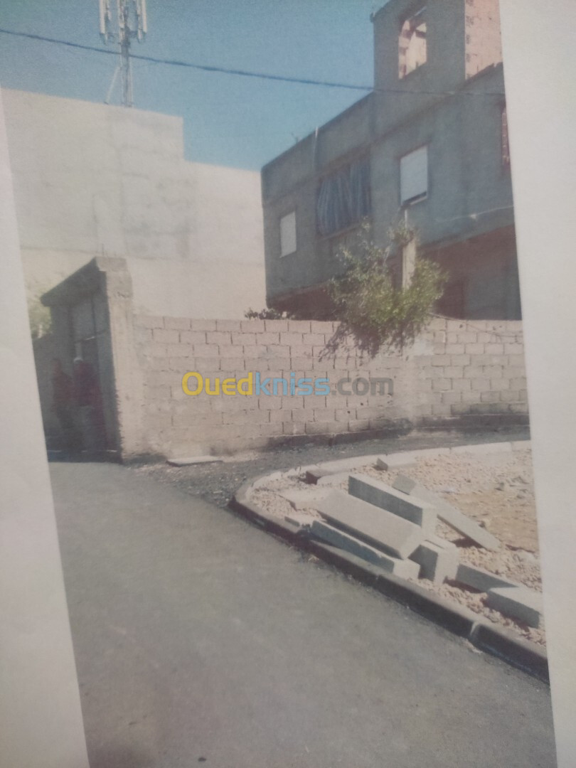 Vente Terrain Blida Bouinan