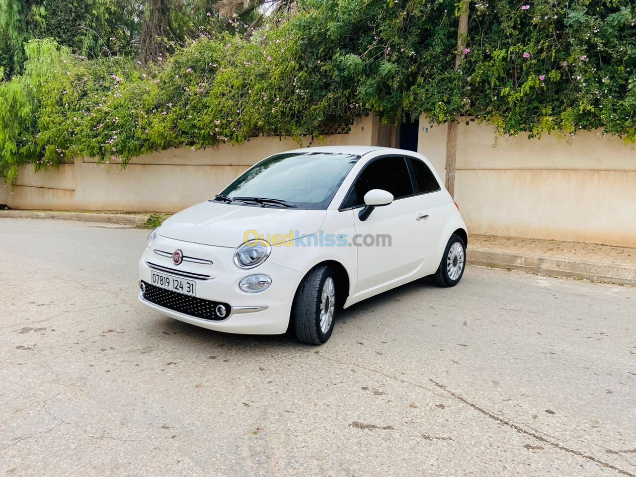 Fiat 500 2024 Delcevita