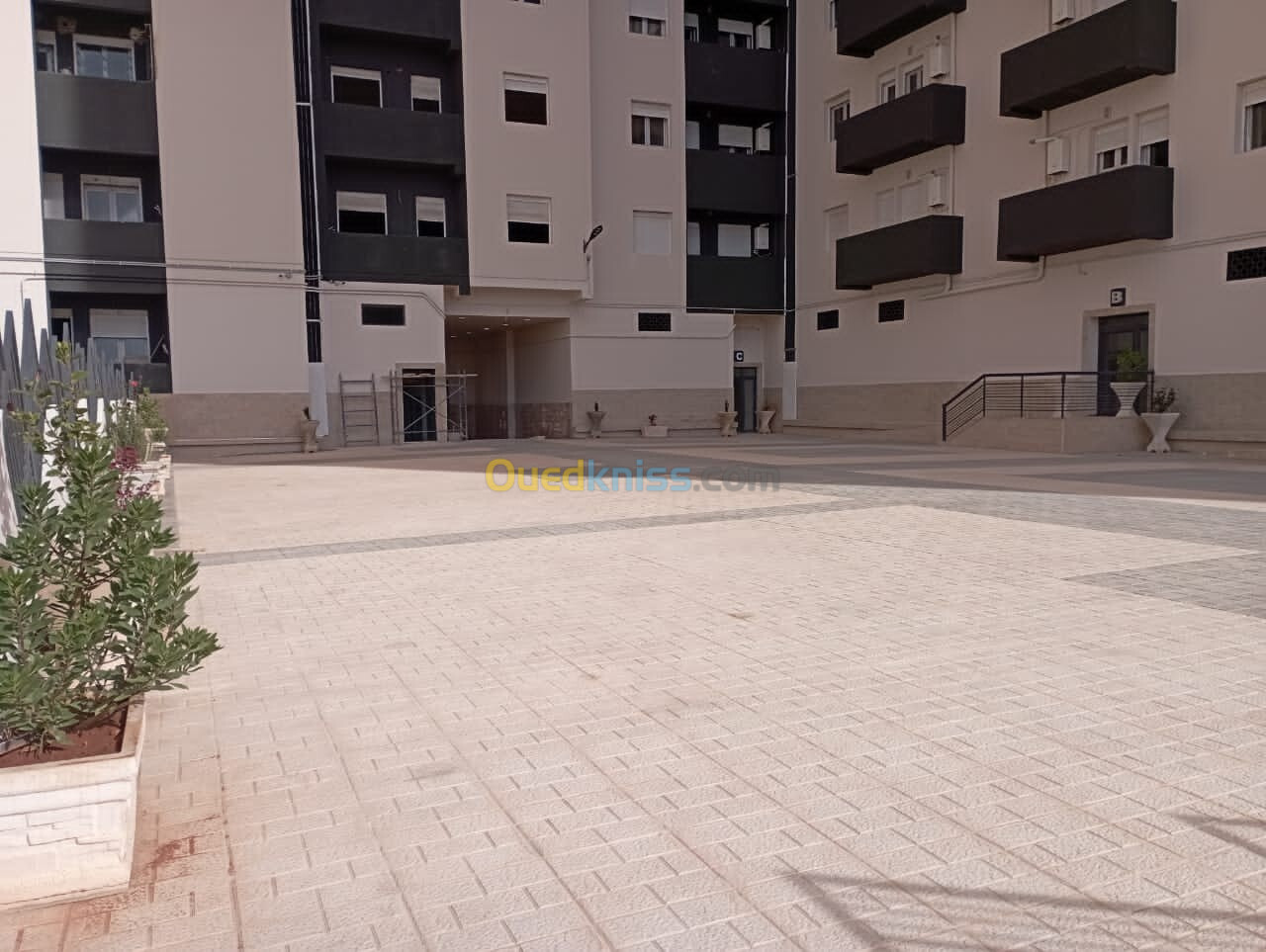 Location Appartement F3 Oran Oran