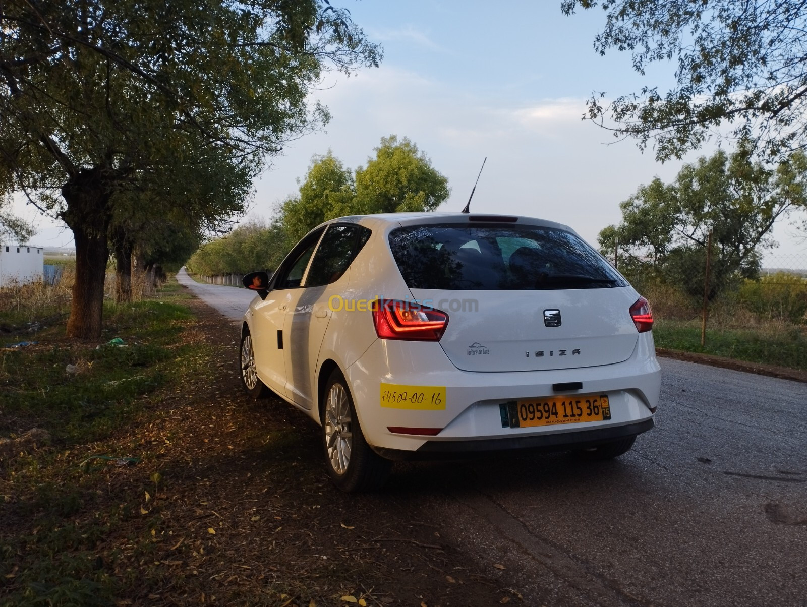 Seat Ibiza 2015 Fully