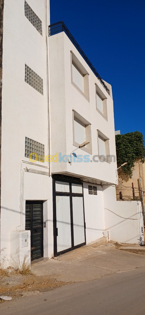 Vente Immeuble Alger Saoula