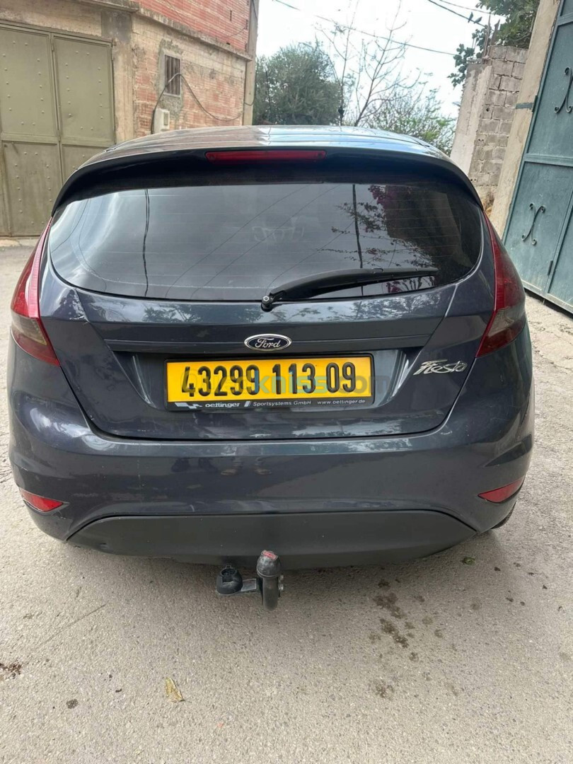 Ford Fiesta 2013 Fiesta