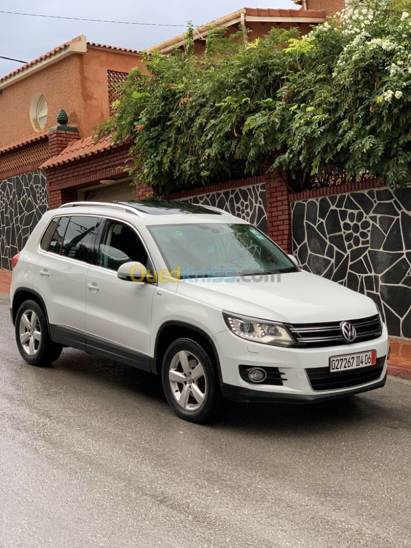 Volkswagen Tiguan 2014 Tiguan