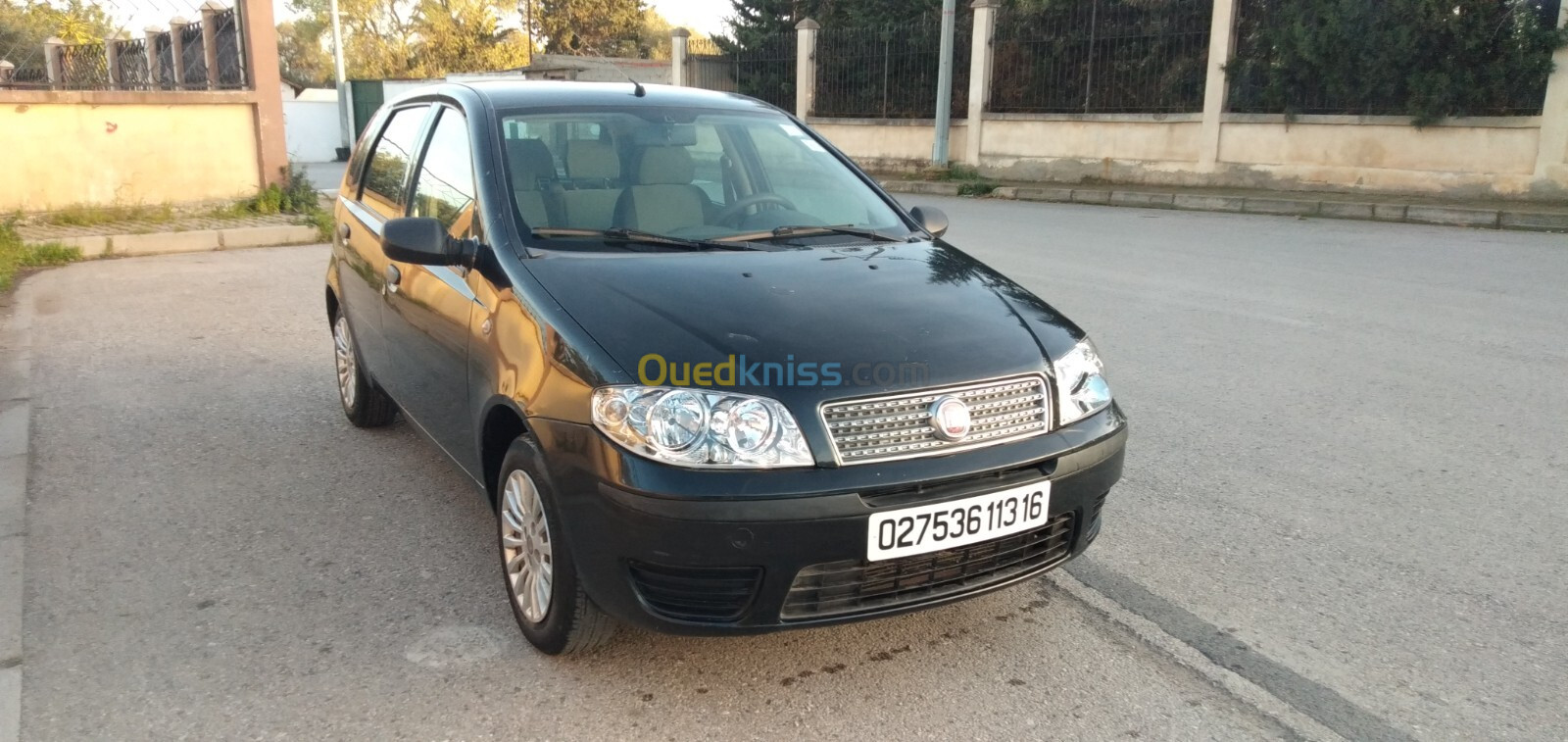 Fiat Punto 2013 Classic