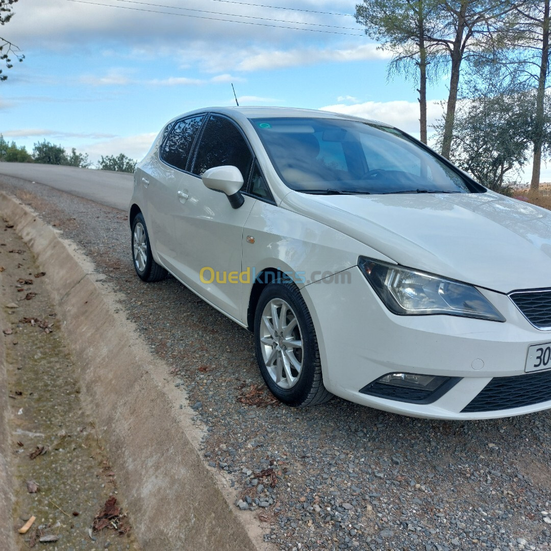 Seat Ibiza 2013 Fully