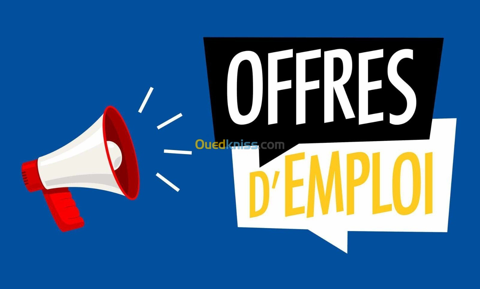 Responsable magasin