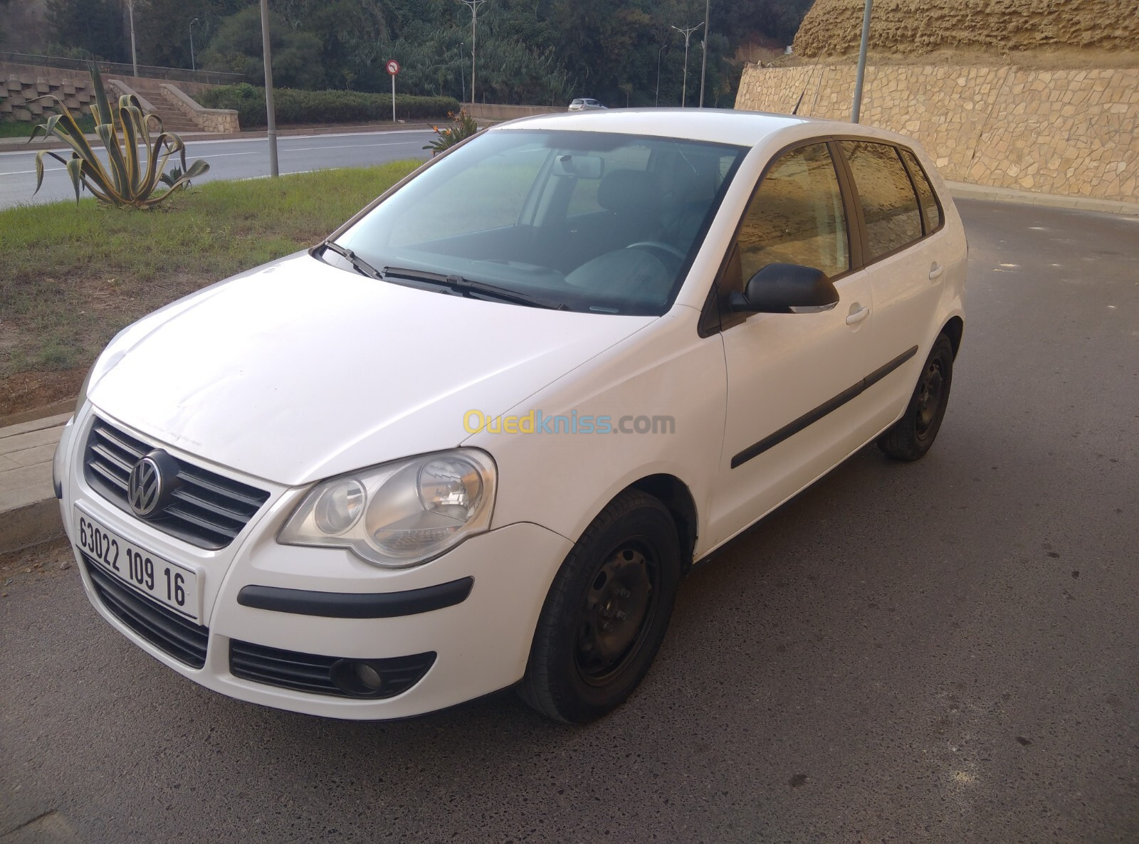 Volkswagen Polo 2009 Polo