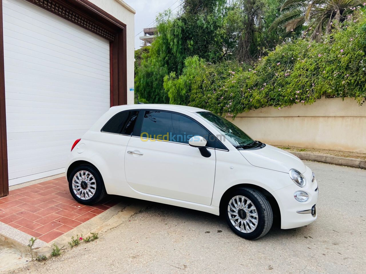 Fiat 500 2024 Delcevita