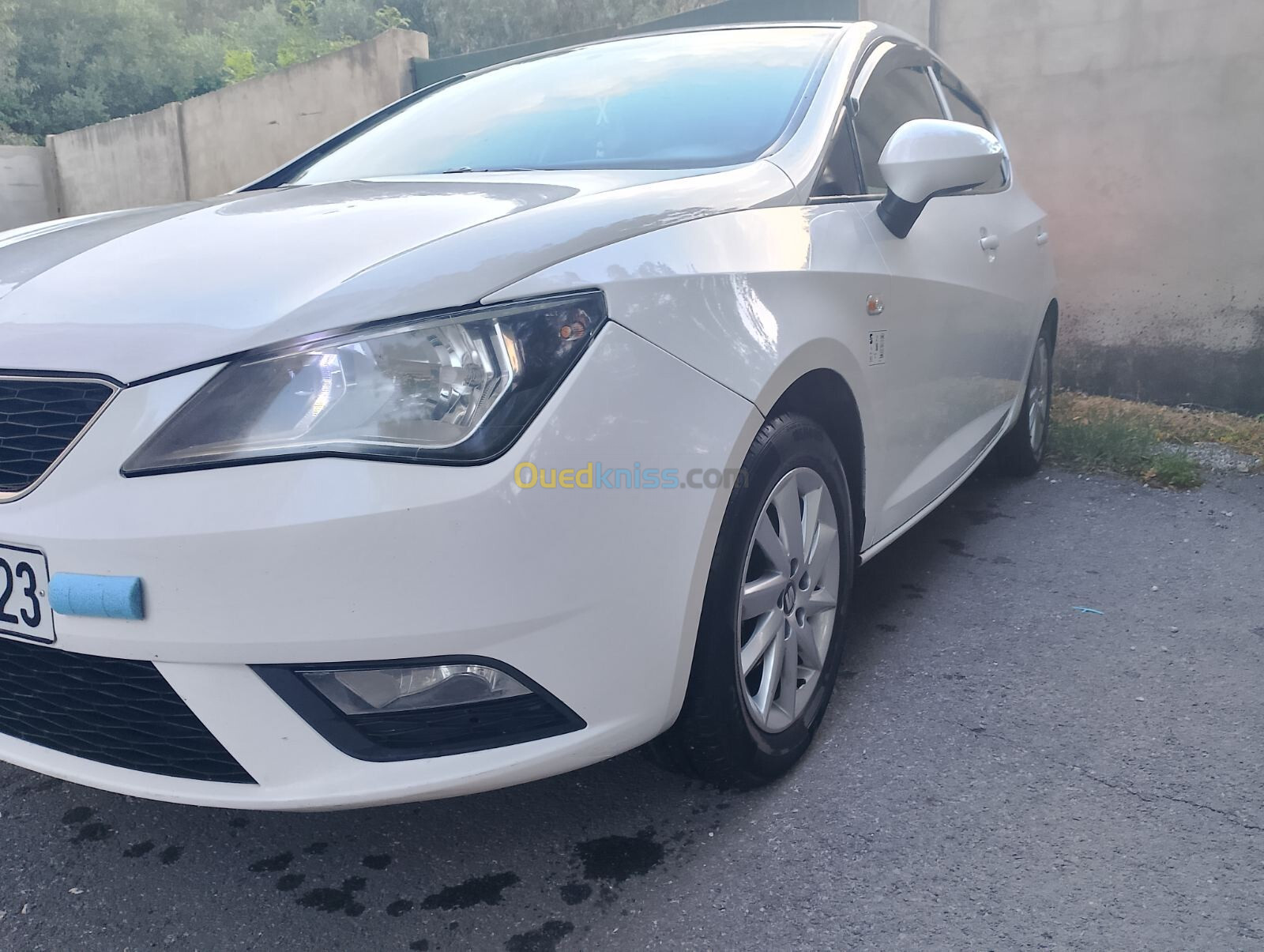 Seat Ibiza 2014 Fully