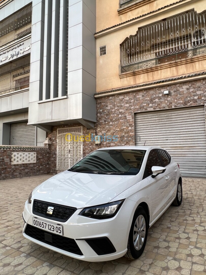 Seat Ibiza 2023 Style