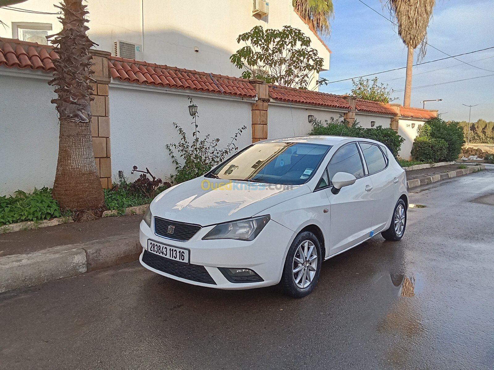 Seat Ibiza 2013 Fully