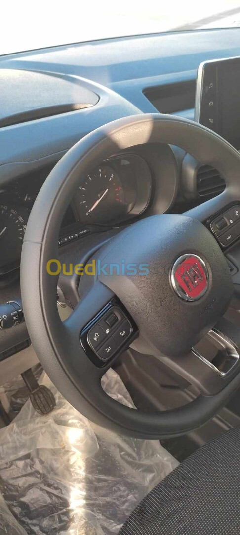 Fiat Doblo 2023 Professional