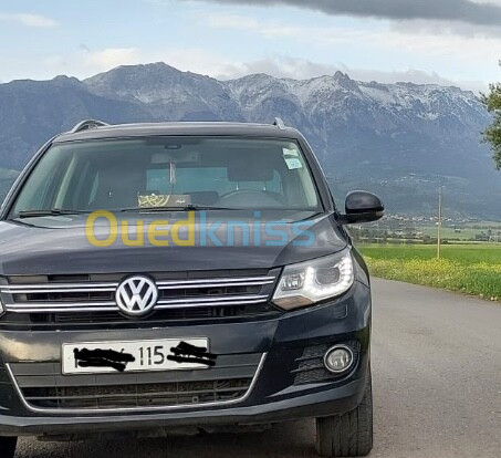 Volkswagen Tiguan 2015 Cup