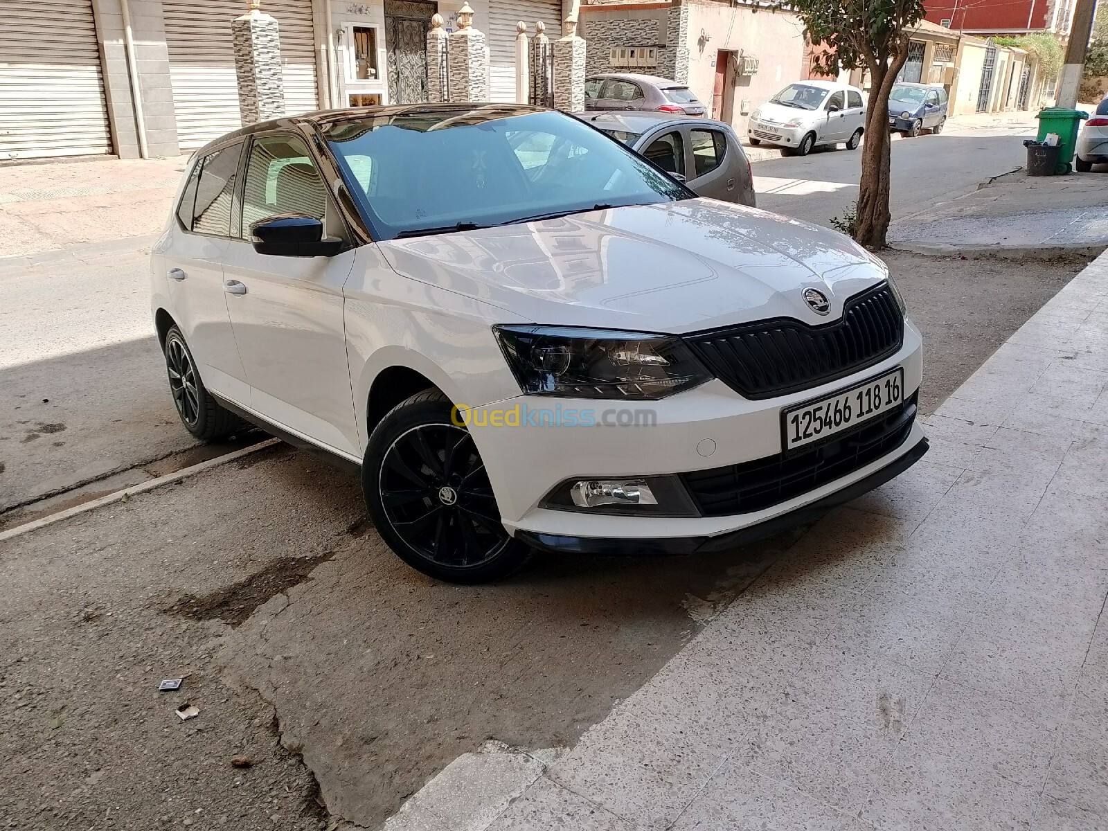 Skoda Fabia 2018 Monte Carlo