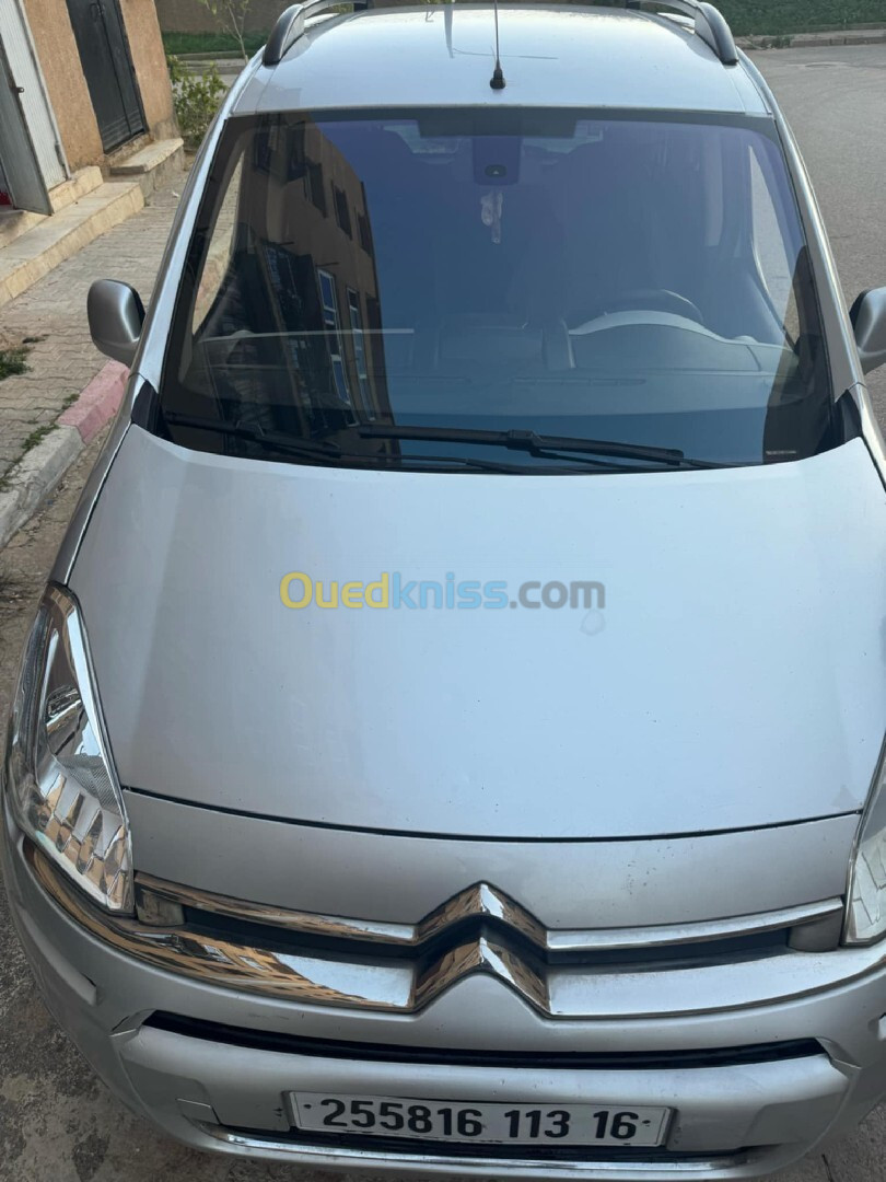 Citroen Berlingo 2013 Berlingo