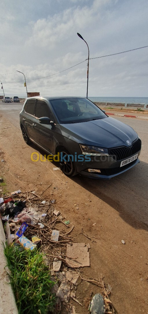 Skoda Fabia 2020 Monte Carlo