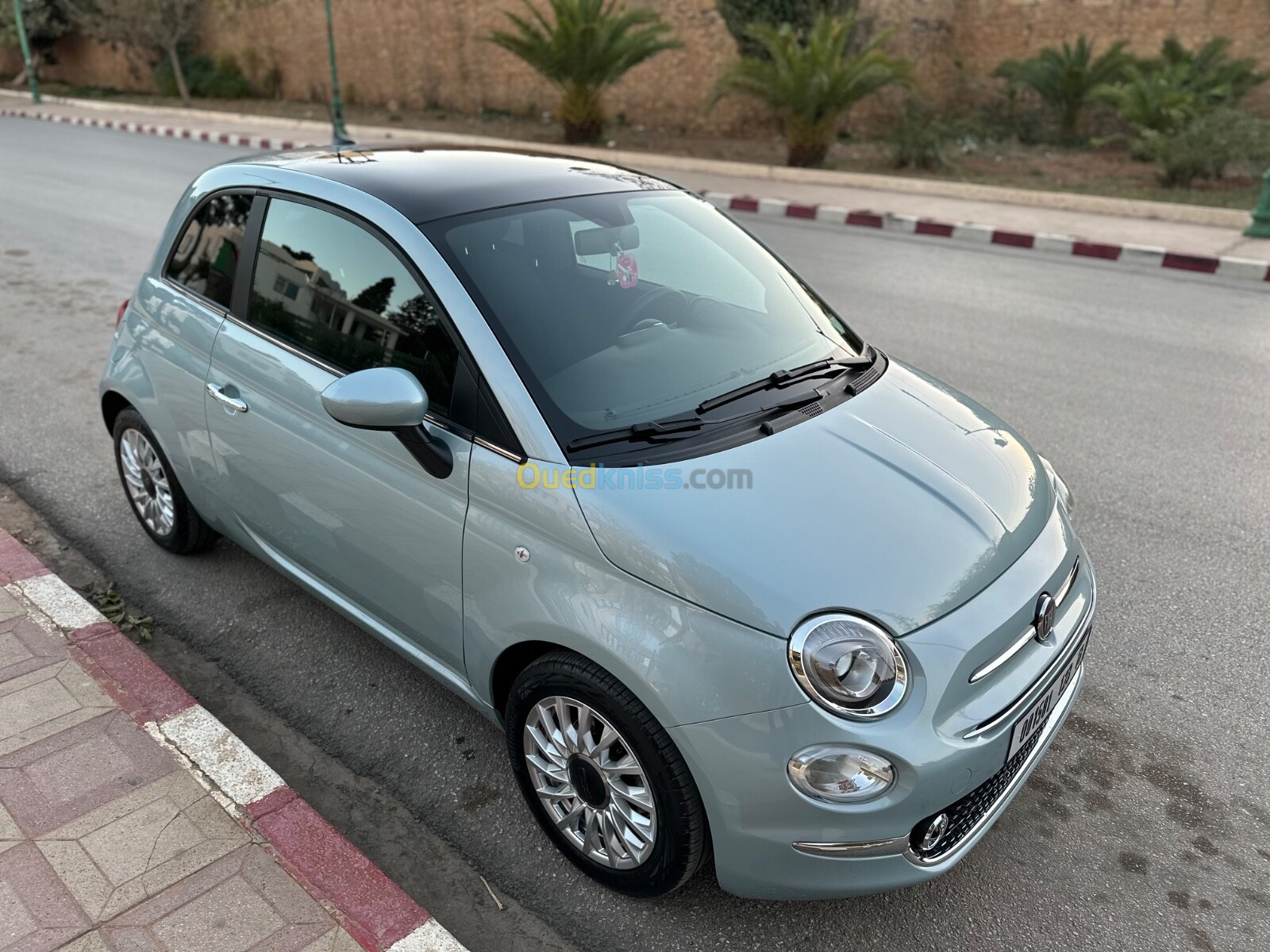 Fiat 500 2023 Club