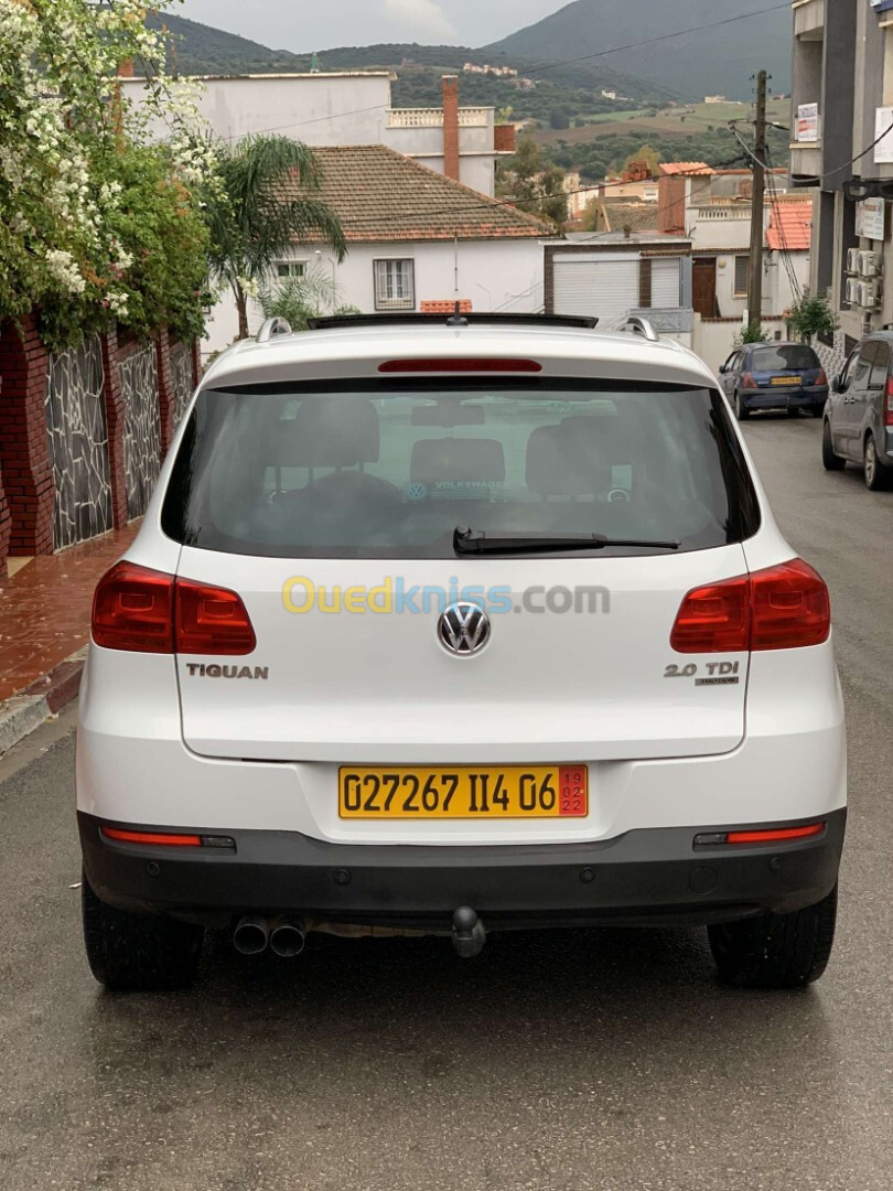 Volkswagen Tiguan 2014 Tiguan