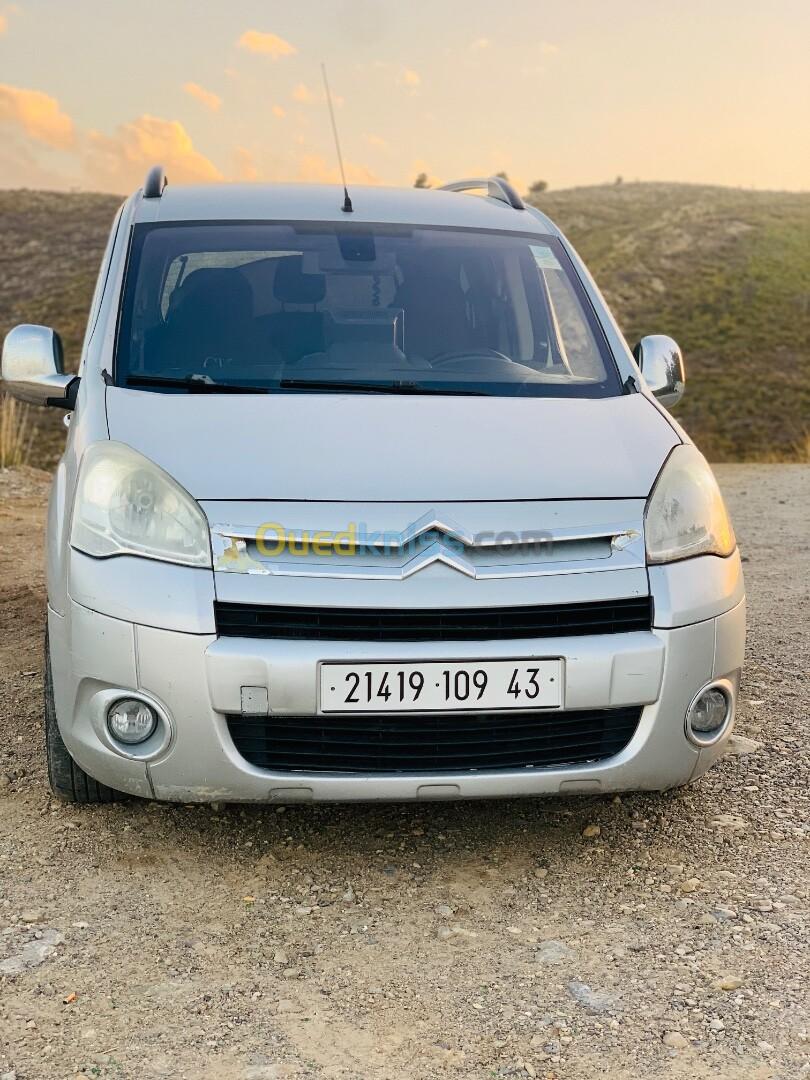 Citroen Berlingo 2009 