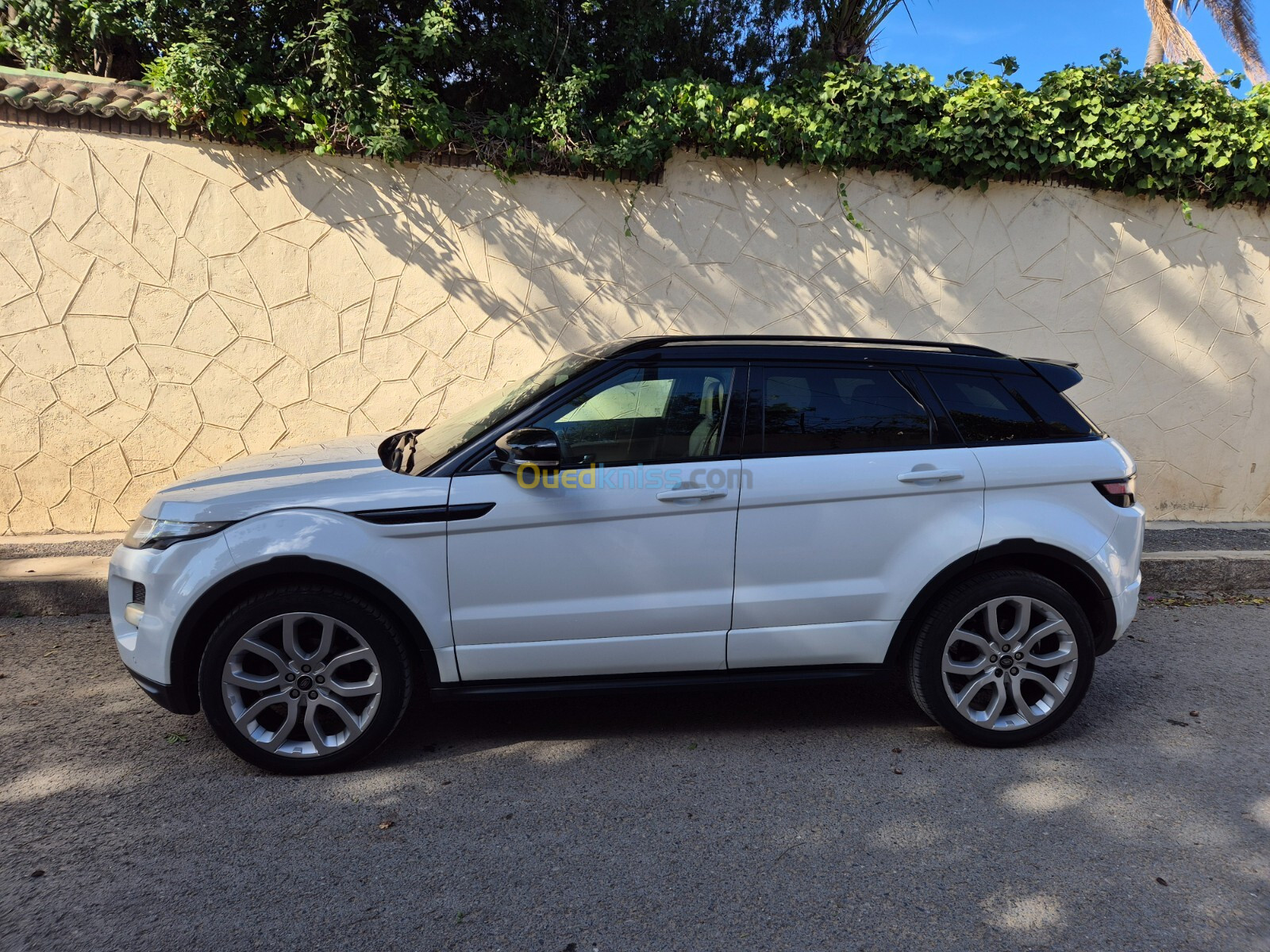 Land Rover Range Rover Evoque 2013 Dynamique Plus