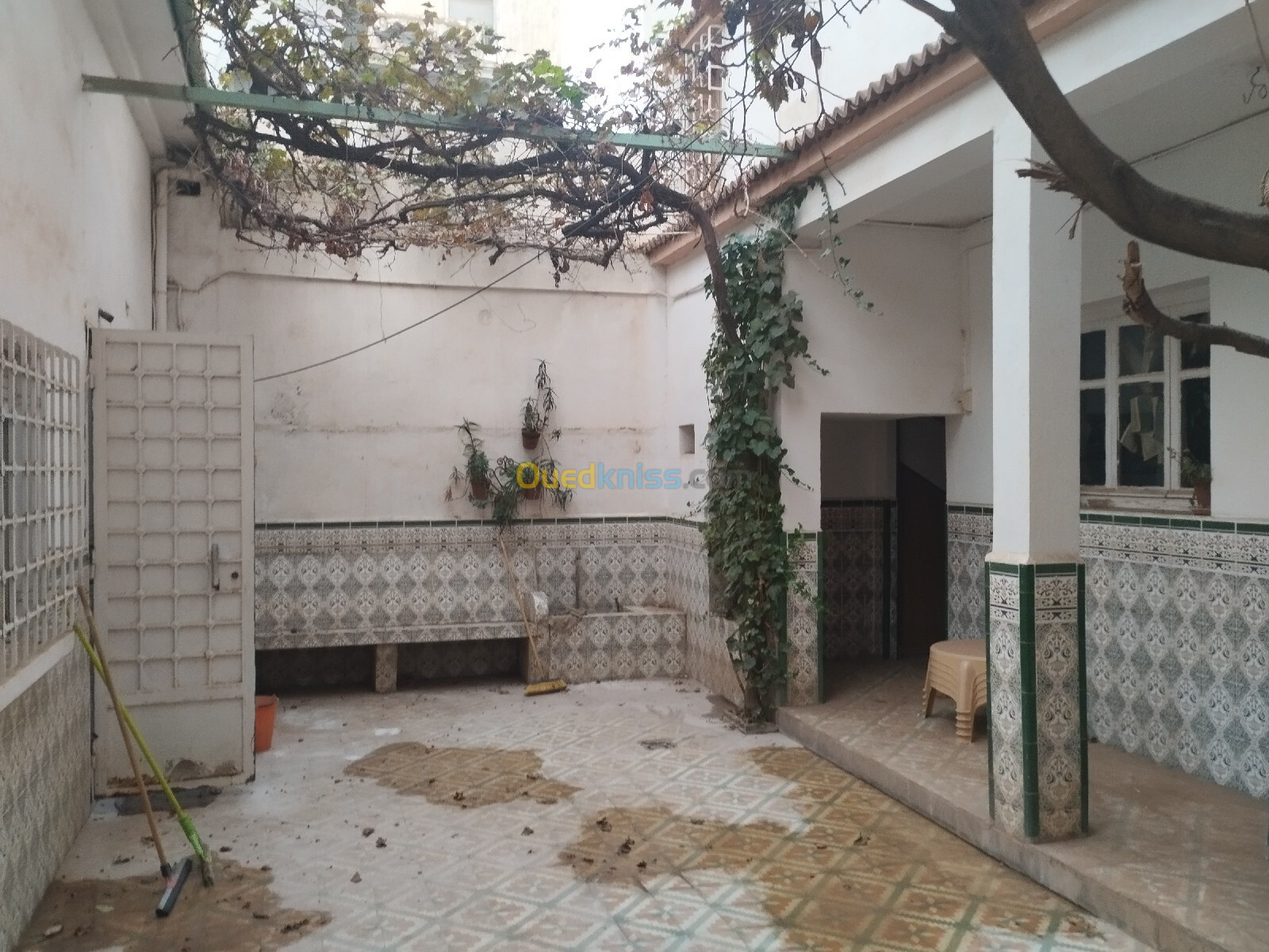 Vente Villa Sidi Bel Abbès Sidi bel abbes