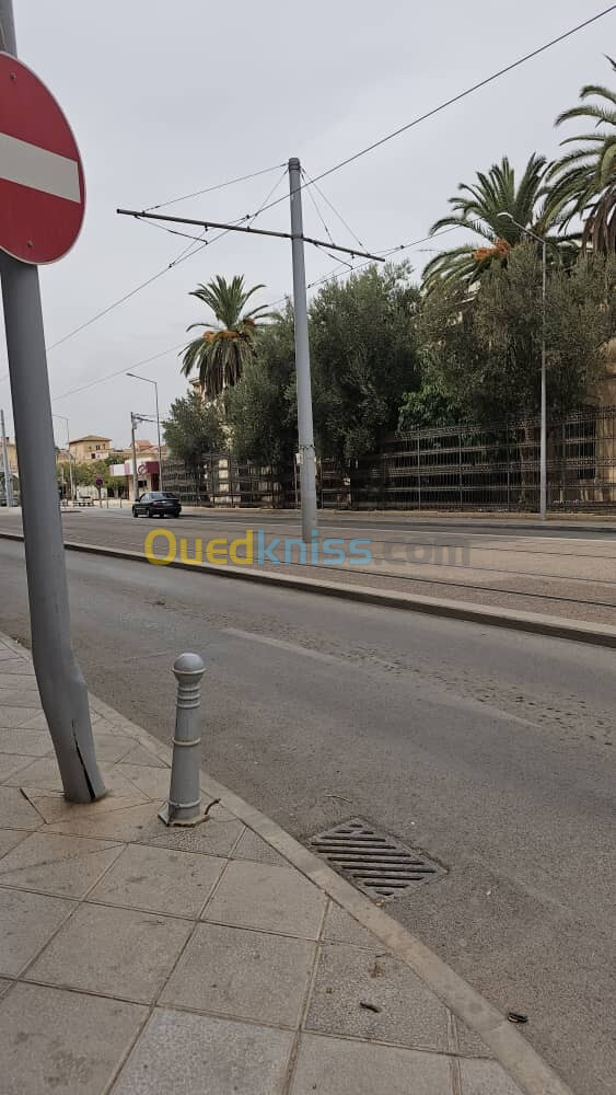 Vente Appartement F3 Sidi Bel Abbès Sidi bel abbes