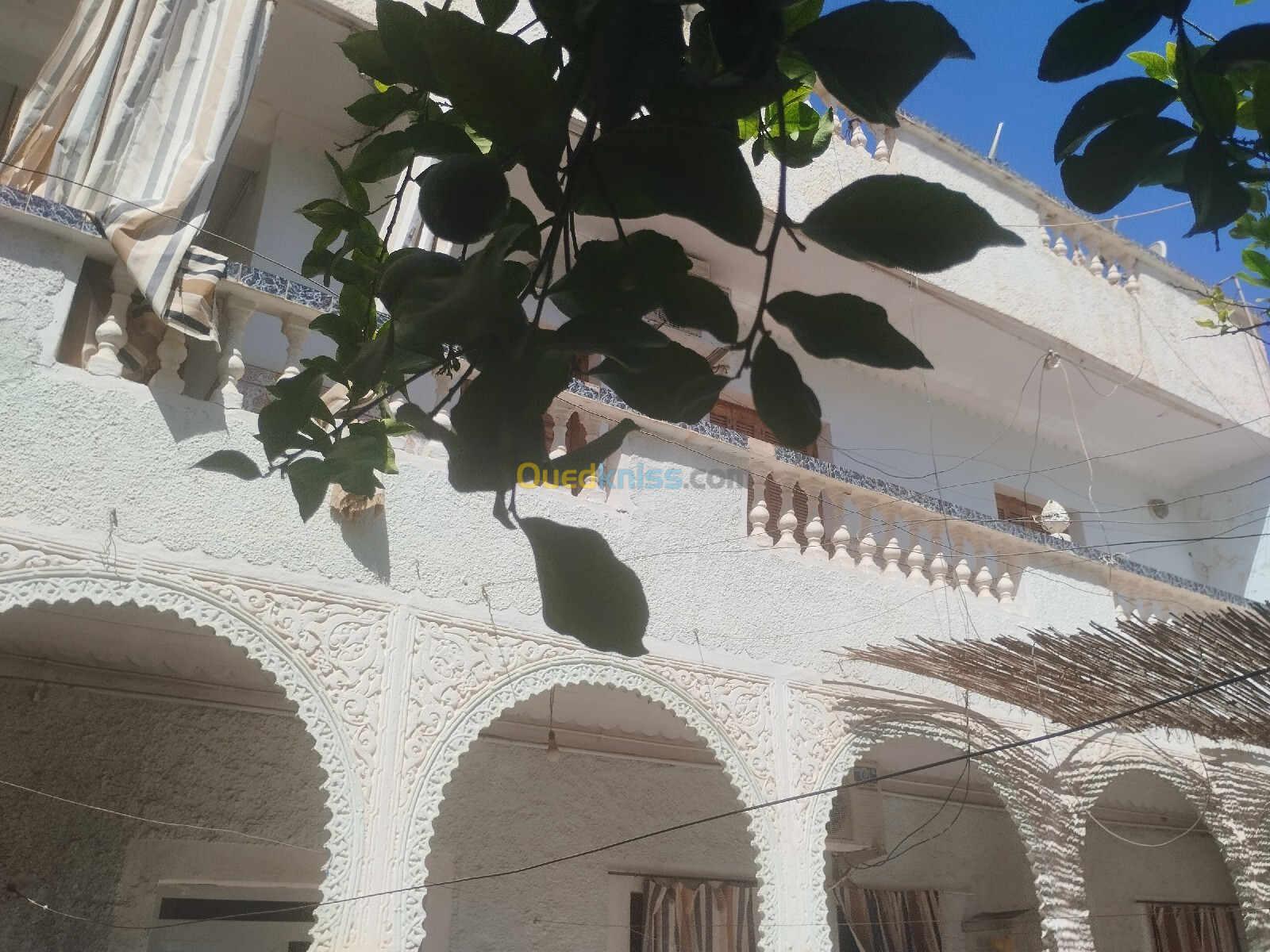 Vente Villa Sidi Bel Abbès Sidi bel abbes