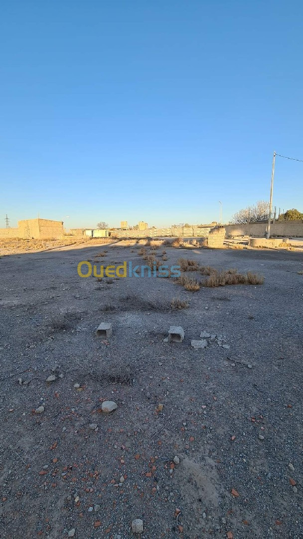 Vente Terrain Sidi Bel Abbès Sidi bel abbes