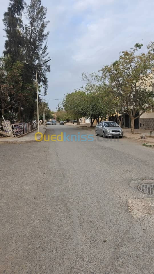 Vente Local Sidi Bel Abbès Sidi bel abbes