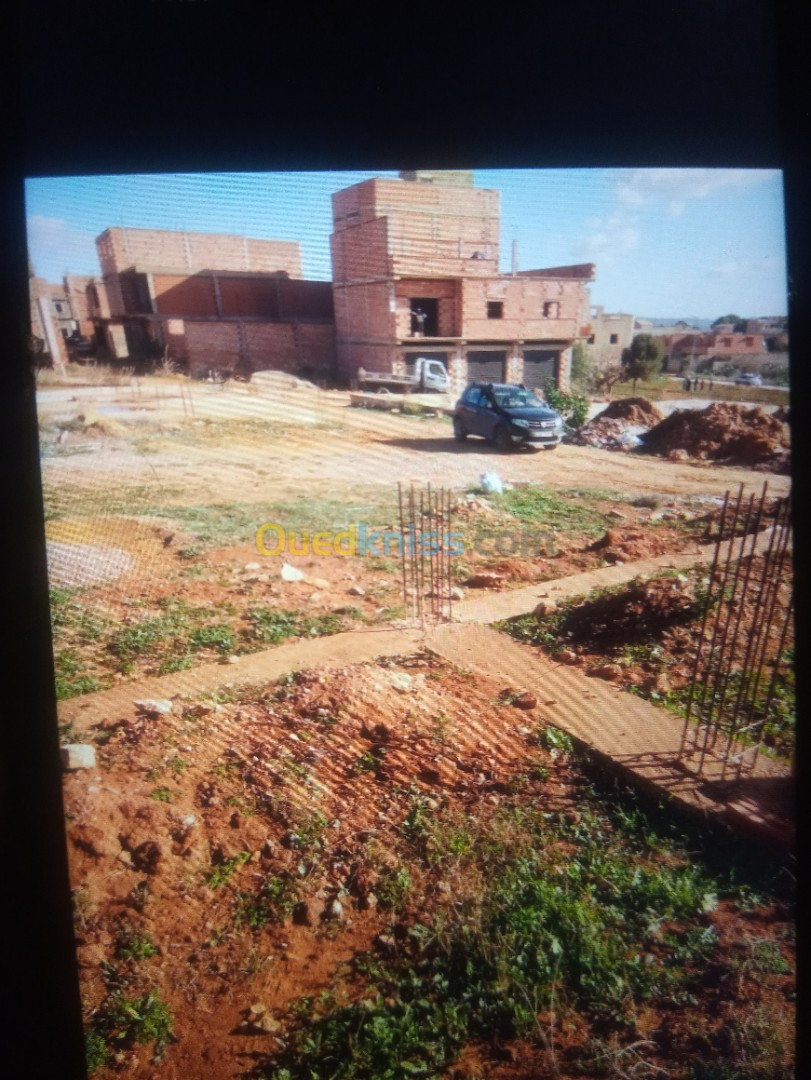 Vente Terrain Mostaganem Sayada