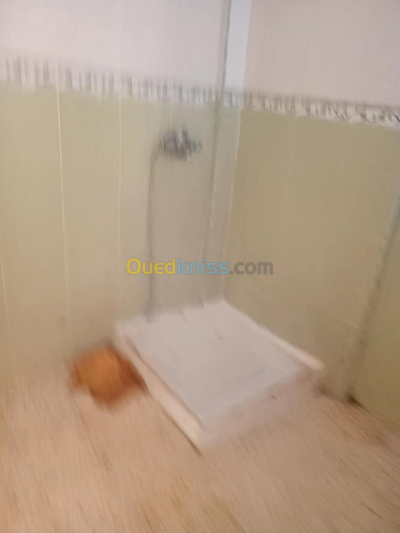 Location Appartement F3 Alger Cheraga