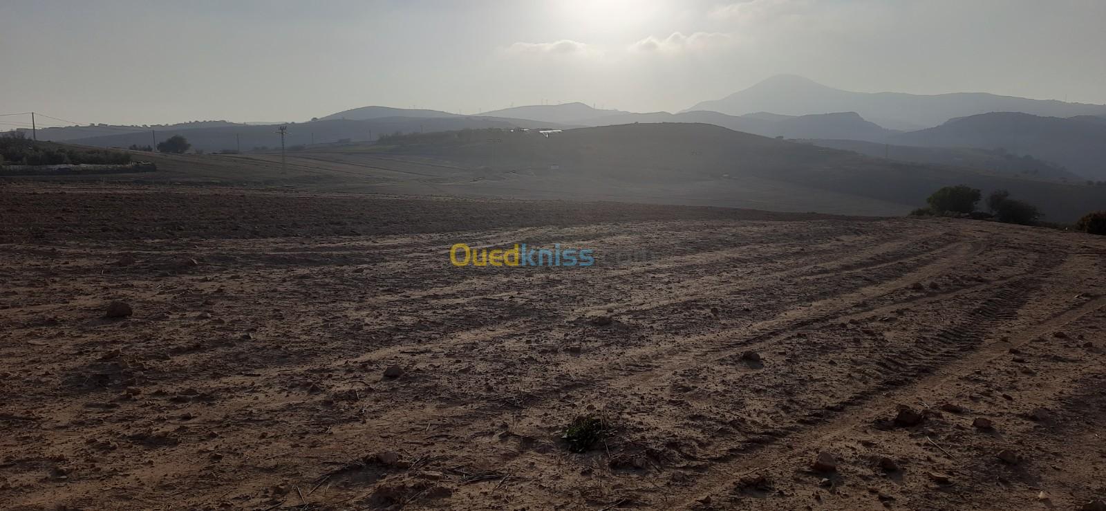 Vente Terrain Tlemcen Fellaoucene