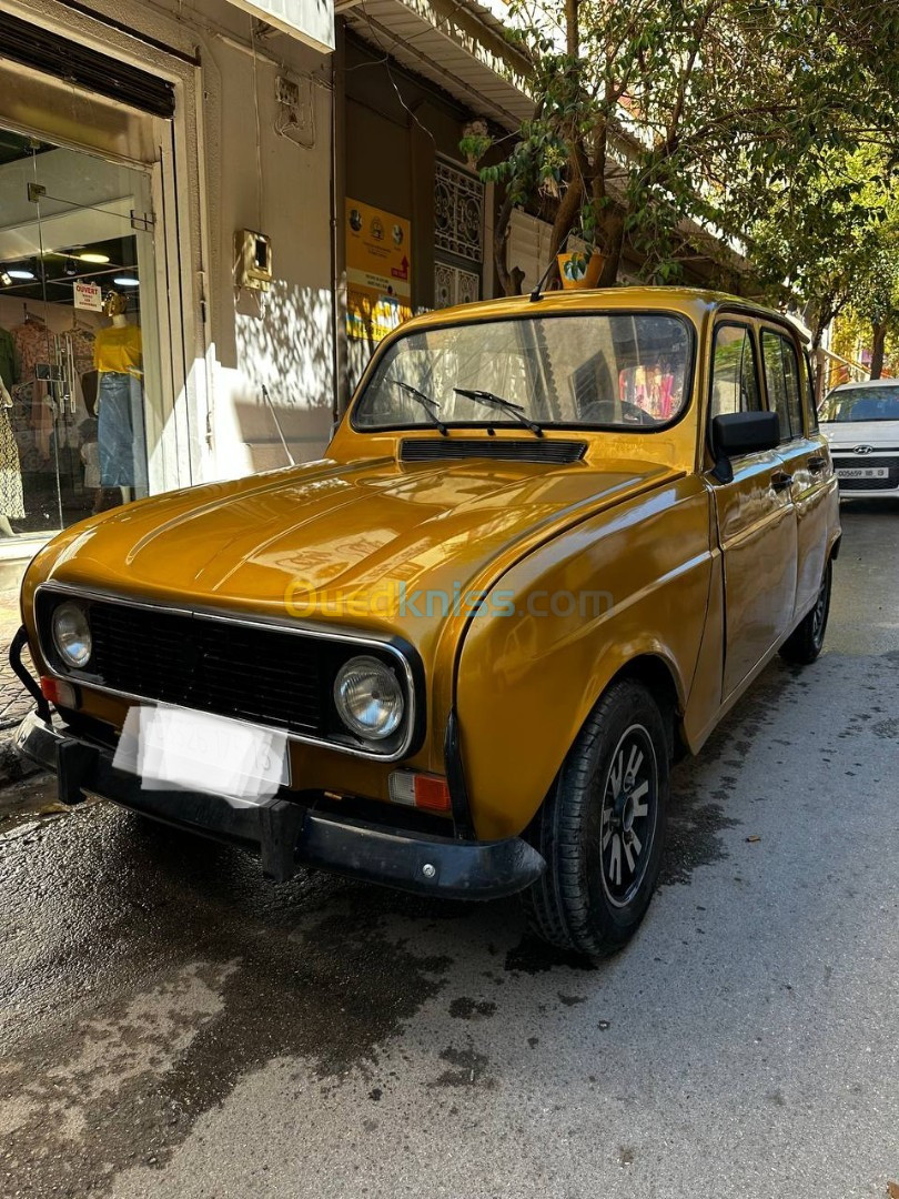 Renault 4 1975 4