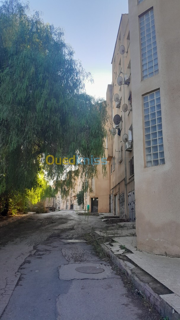 Location Appartement F3 Tipaza Douaouda