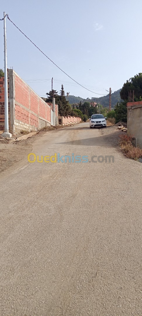 Location Appartement Tipaza Larhat