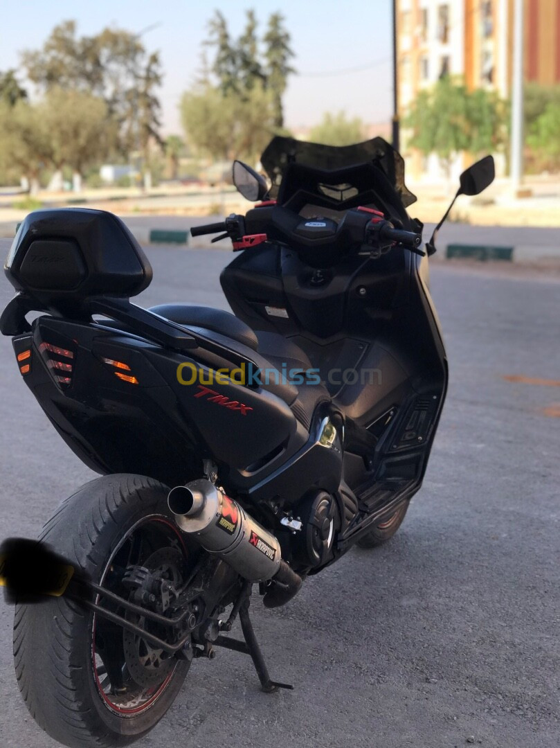 Timax 530 Yamaha 2013