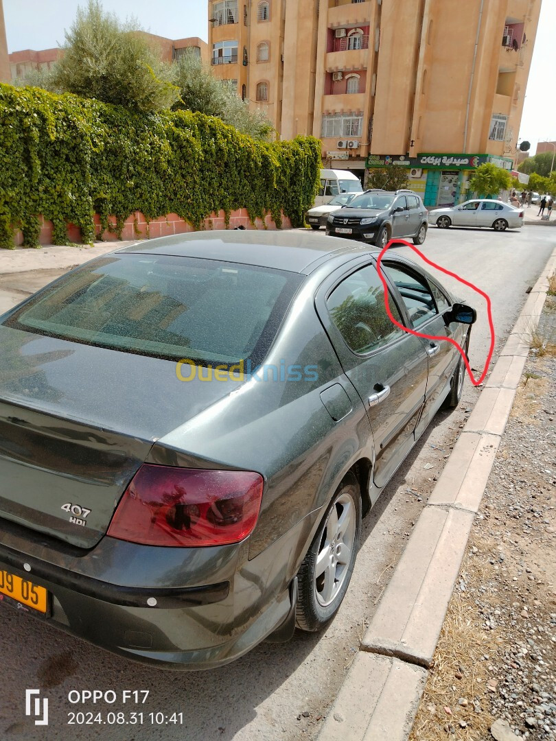 Peugeot 407 2009 407