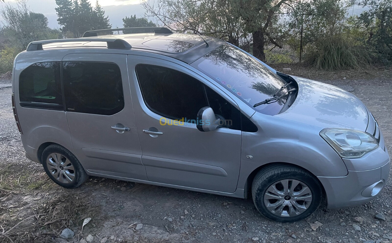 Citroen Berlingo 2010 Berlingo