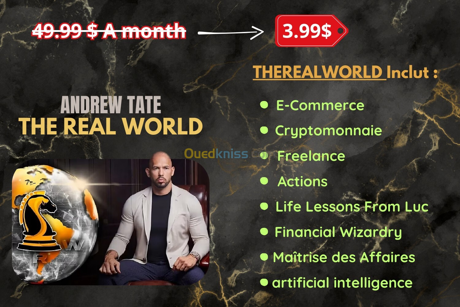 THEREALWORLD Andrew Tate plateforme éducative en ligne (PREMIUM) | cours e-commerce / finance ....