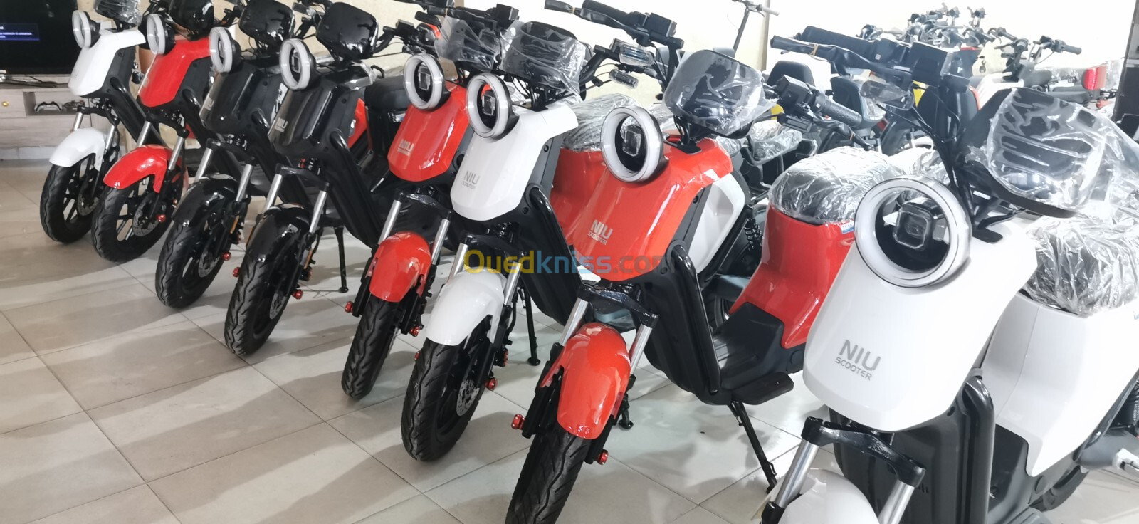 Scooter électrique دراجة كهربائية 2024